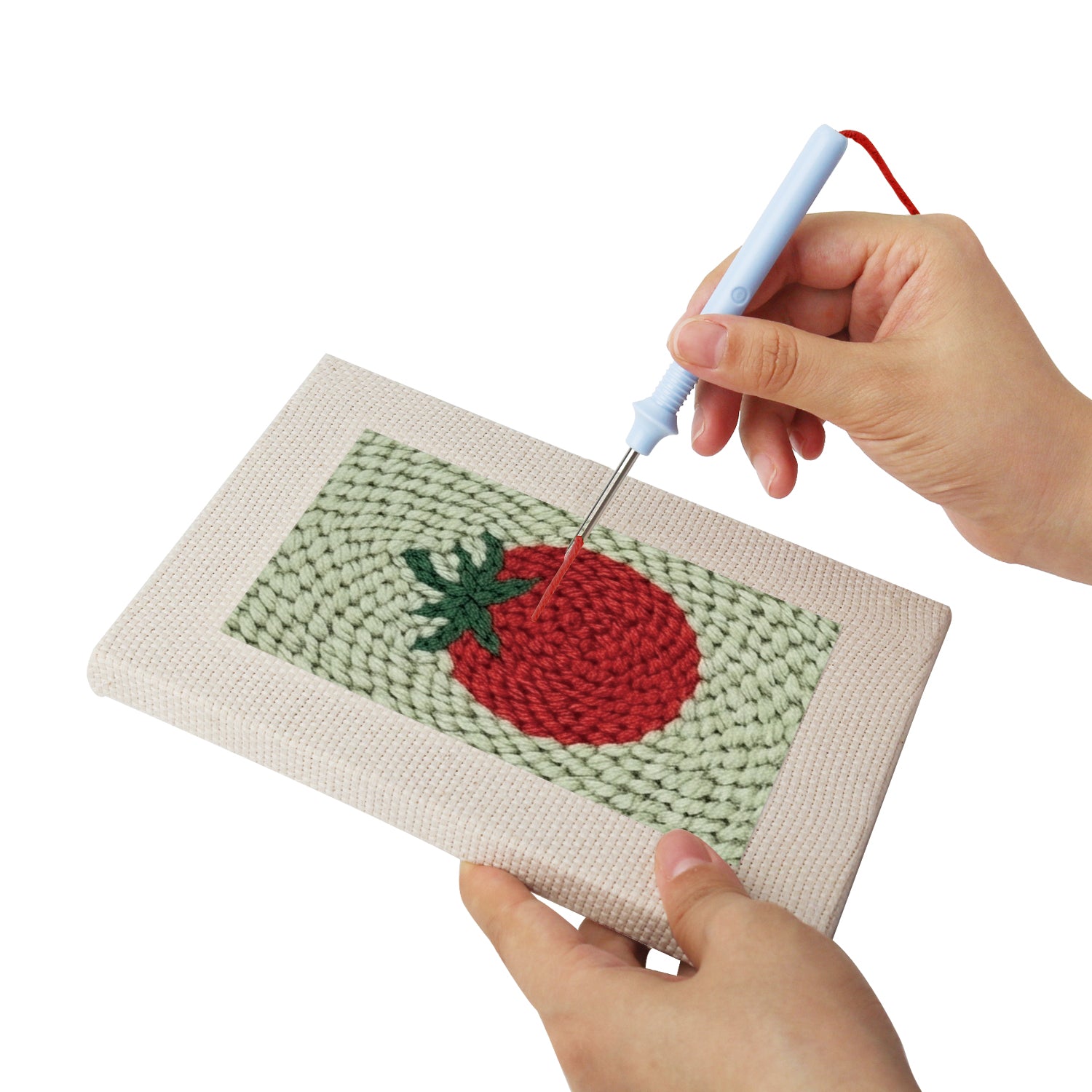 Fruits & Vegetables 36 | Mini Punch Needle Kit