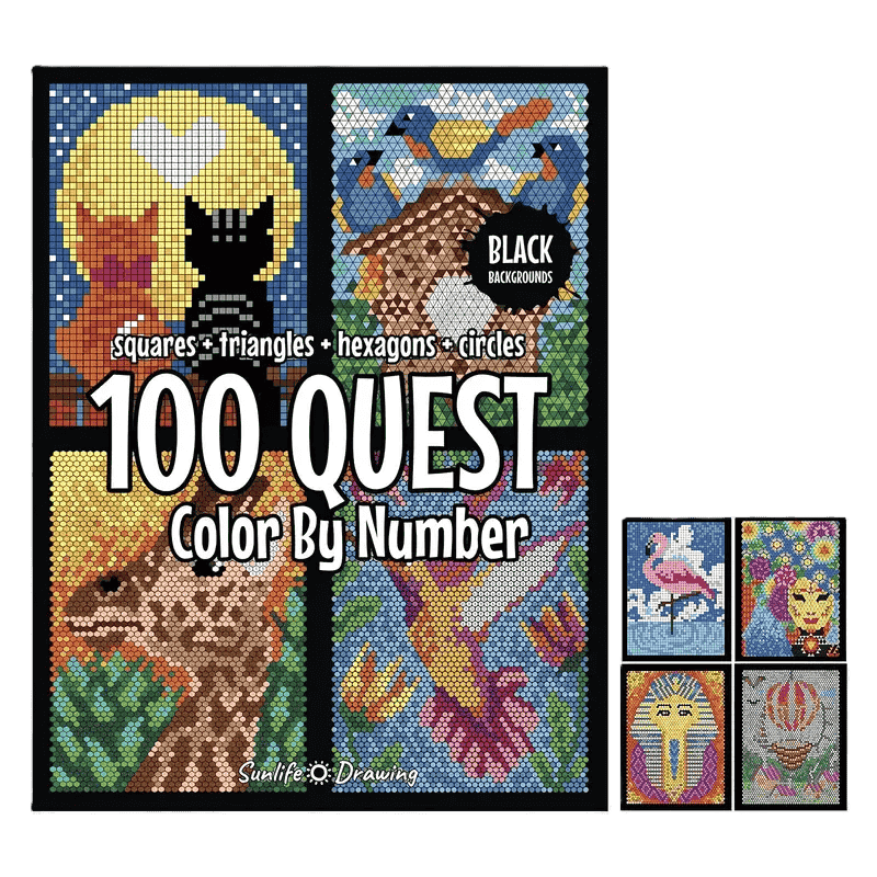 Color by Number Book with 48 markers