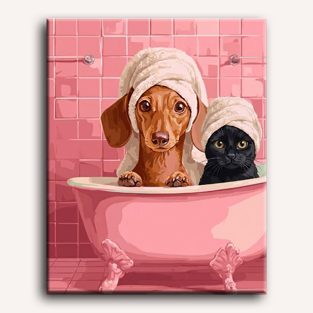 Dachshund & Cat in Bath | Paint by Number