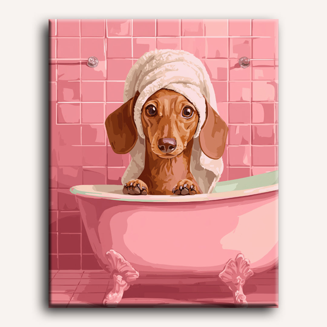 Dachshund in bath | Paint by Number