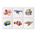 6 Mini Paintings - Fish Set