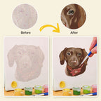 6 Mini Paintings | Dogs Set