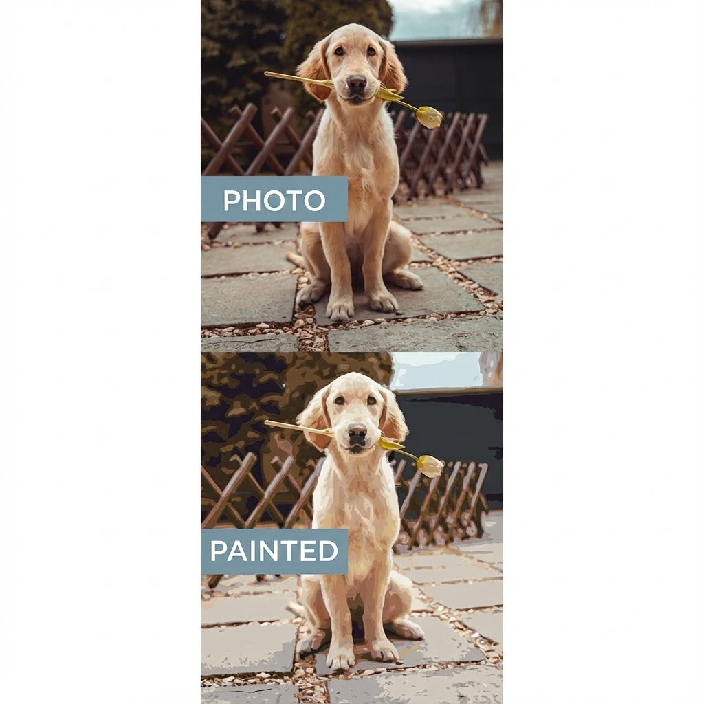 Custom Kit - Paint by Numbers | Valentine Edition