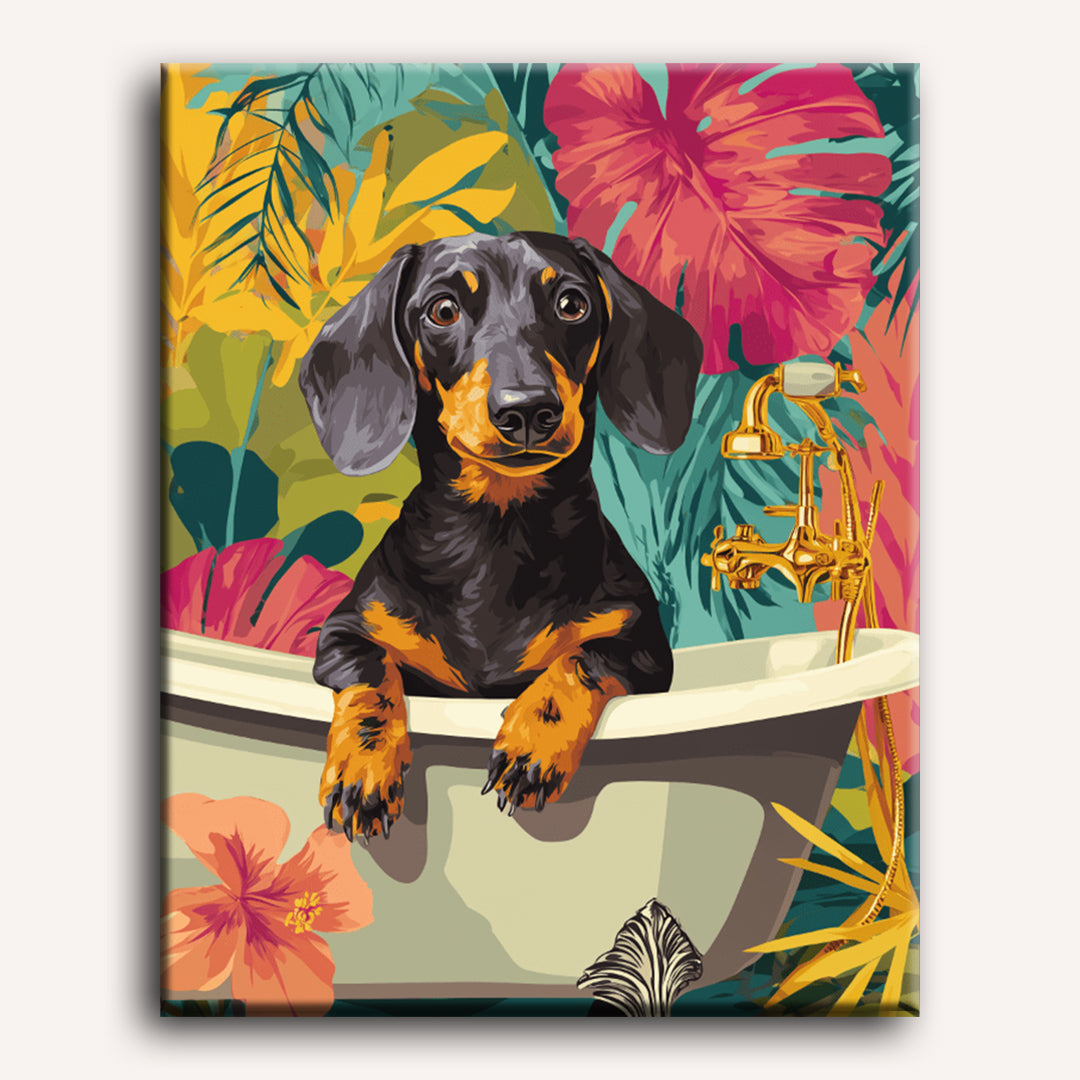 Tropical dachshund | Paint by Number
